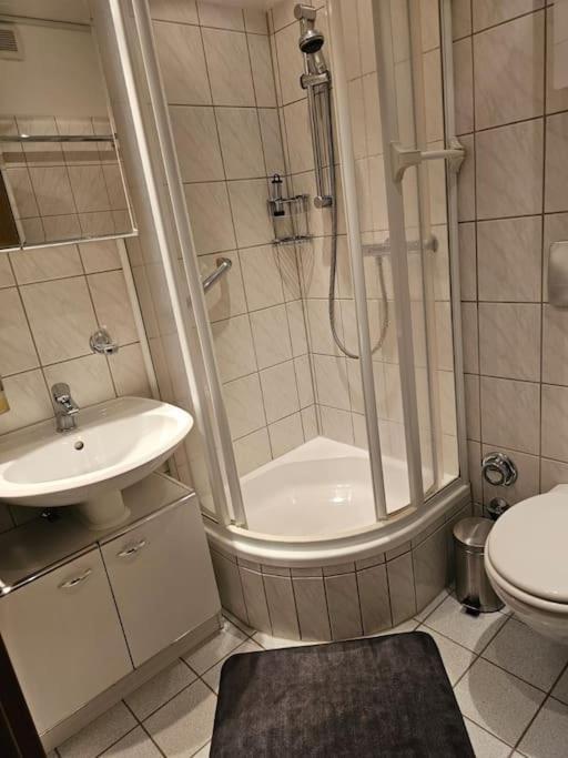 A&E Apartment Am Sorpesee Langscheid  Екстериор снимка