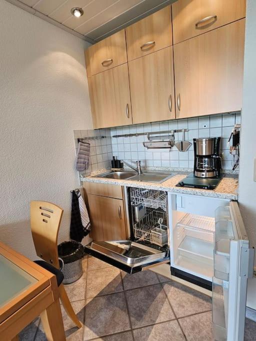 A&E Apartment Am Sorpesee Langscheid  Екстериор снимка
